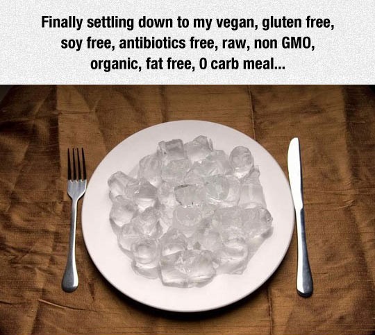 funny-ice-cubes-plate-dinner